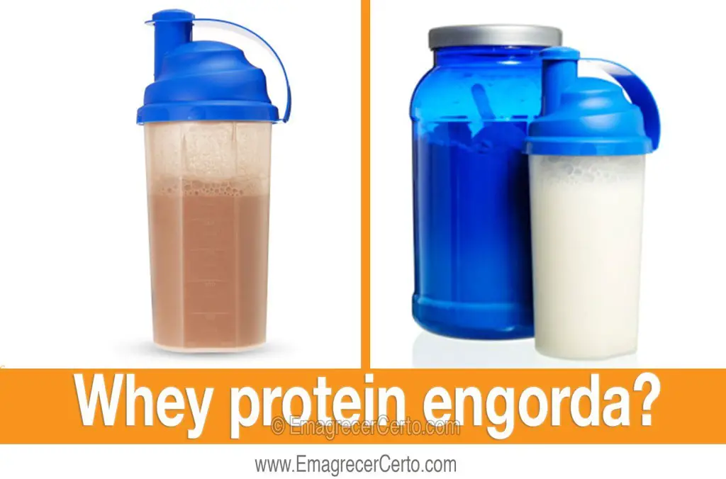 whey protein engorda