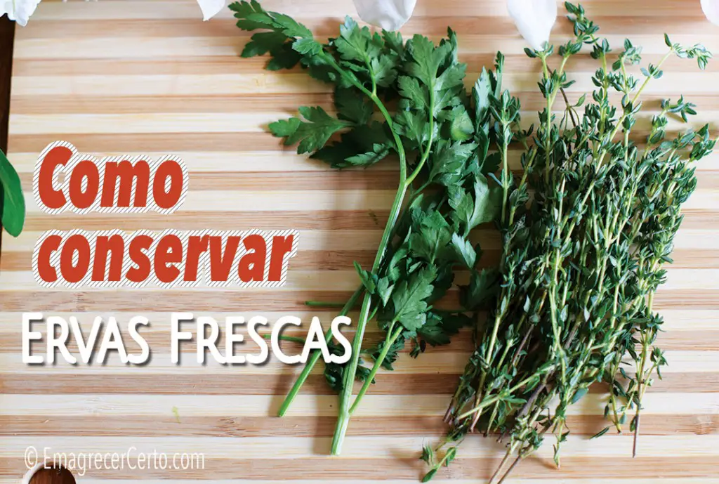 conservar ervas frescas