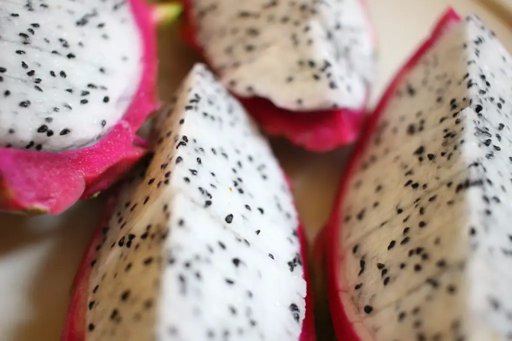 pitaya dragonfruit