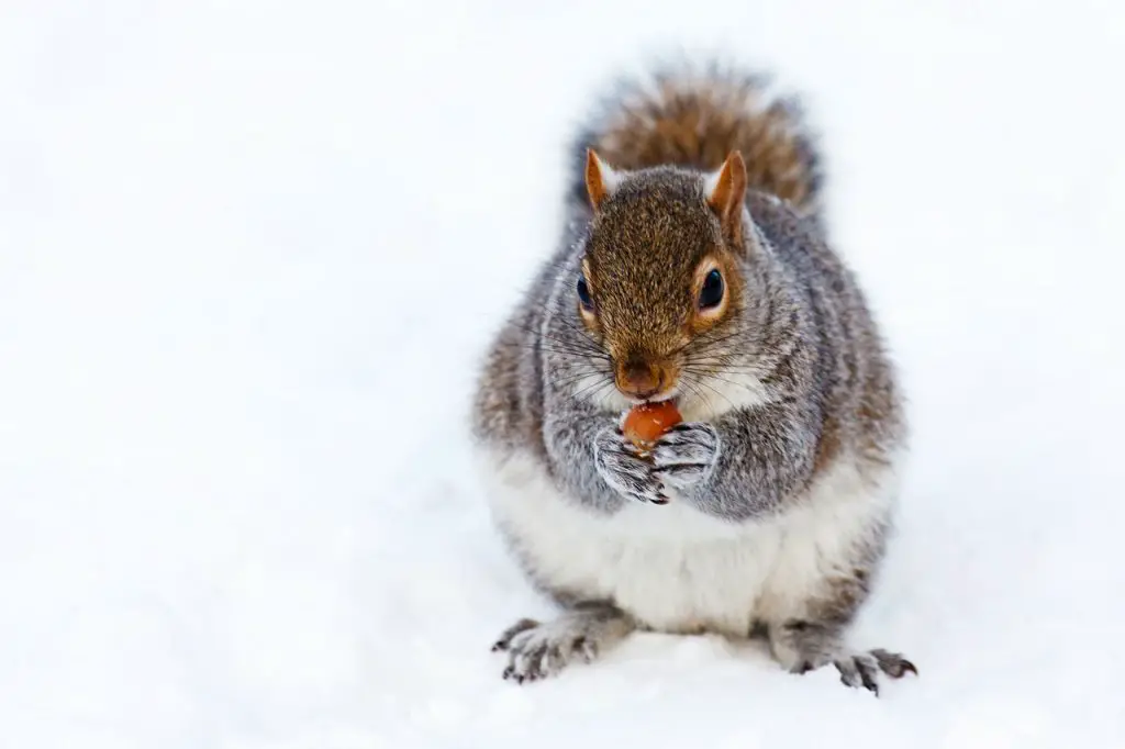 Dicas para manter a saúde durante o inverno