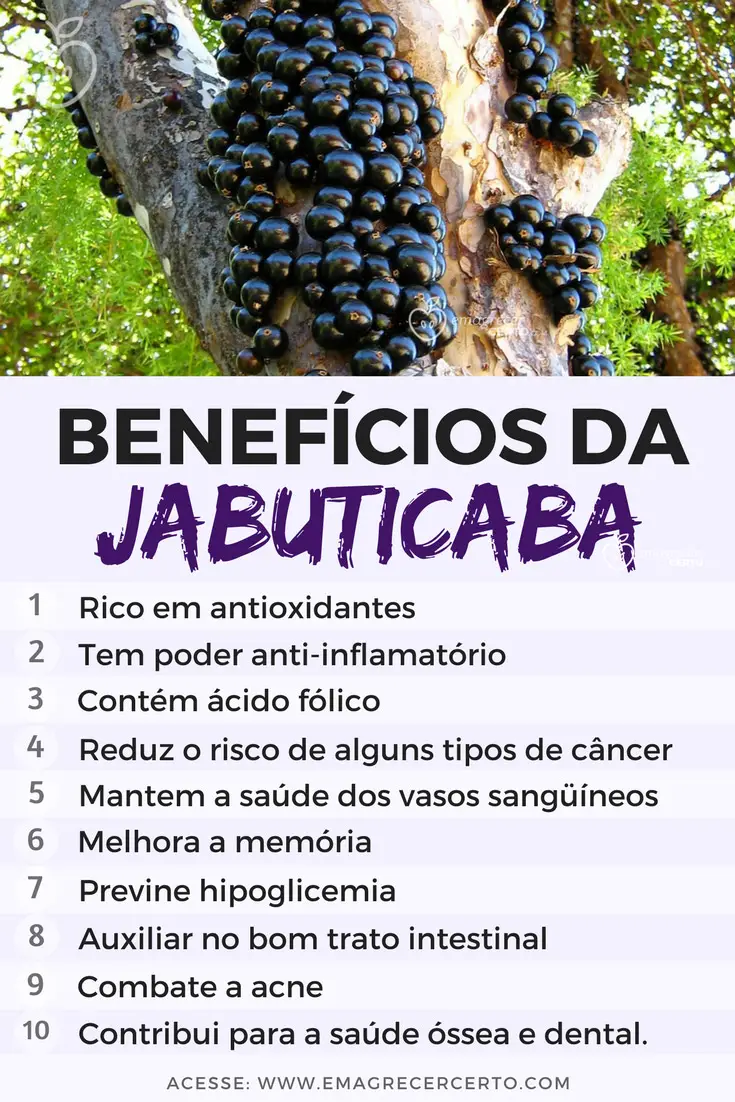 Benefícios das Jabuticabas | Blog EmagrecerCerto.com @emagrecercerto #jabuticaba # frutas