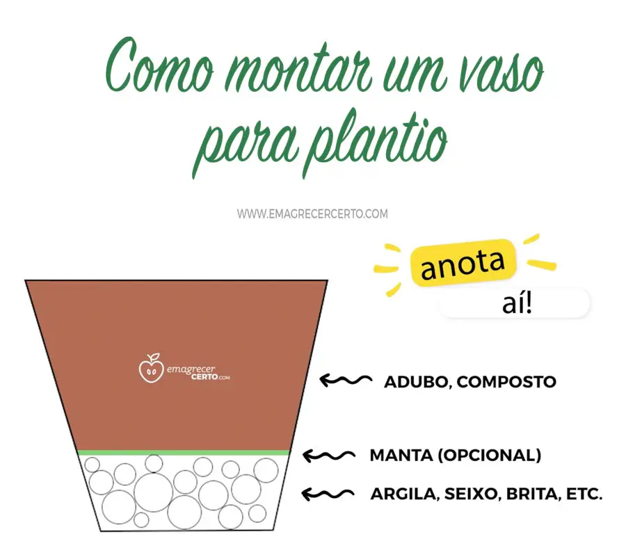 Como montar um vaso para plantio - drenagem - Emagrecer Certo - Horta em Casa #horta #plantio #temperos